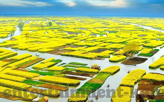 中国竞彩足球比分-中国竞彩足球比分，激情碰撞下的数据艺术与理性博弈